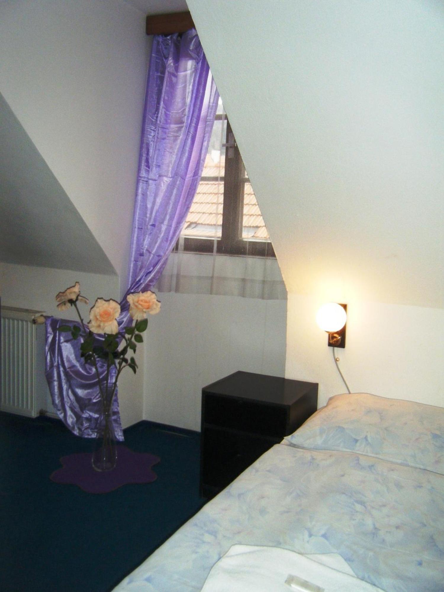 Hotel Parkan 프라차티체 객실 사진