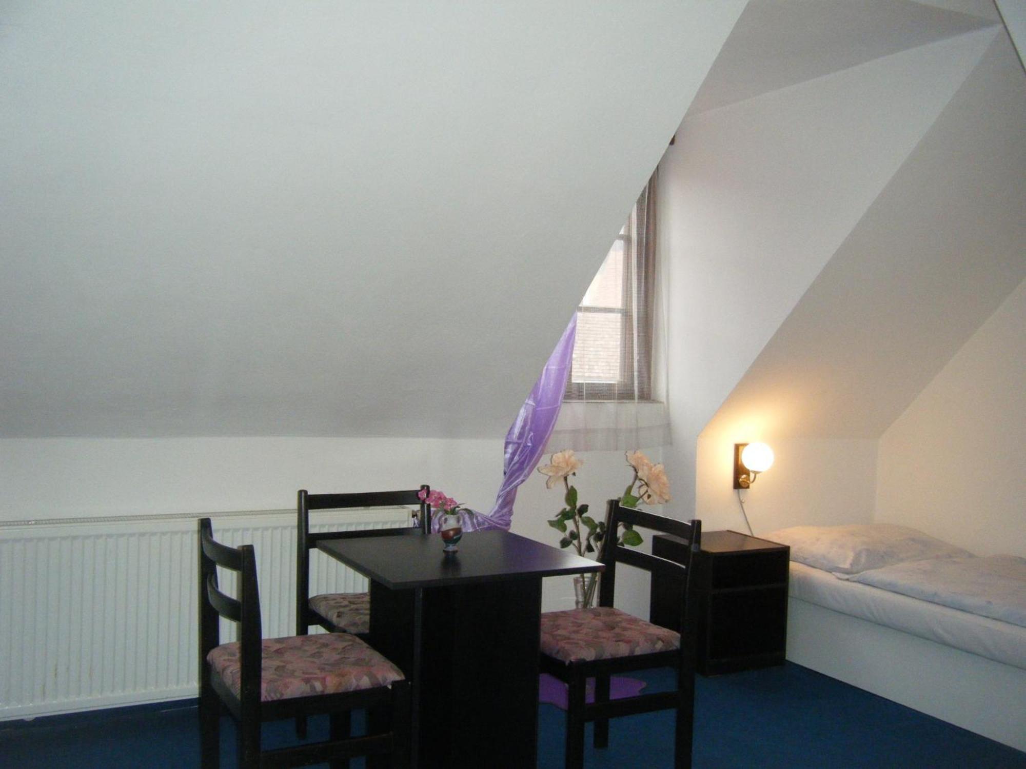 Hotel Parkan 프라차티체 객실 사진