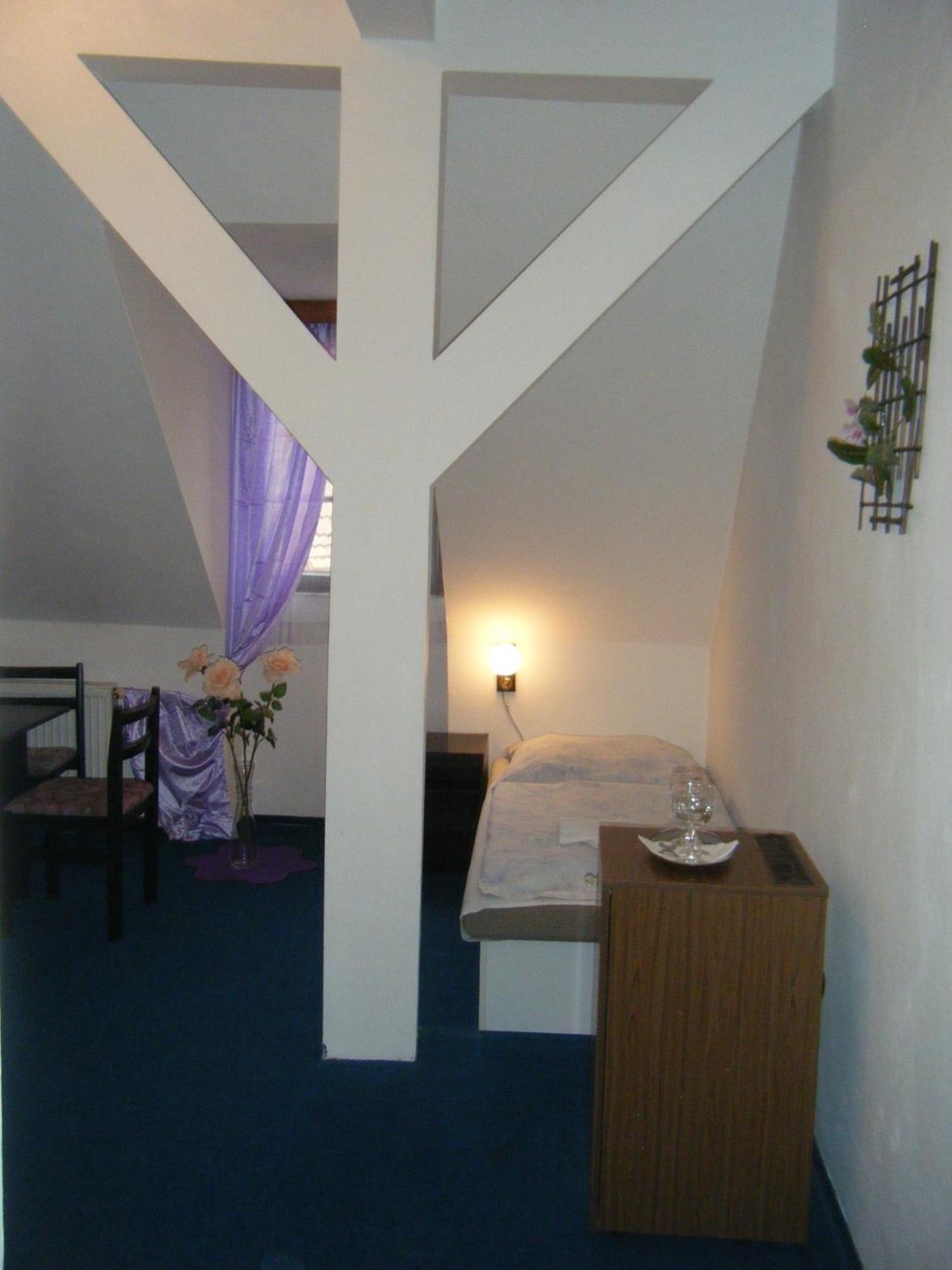 Hotel Parkan 프라차티체 객실 사진