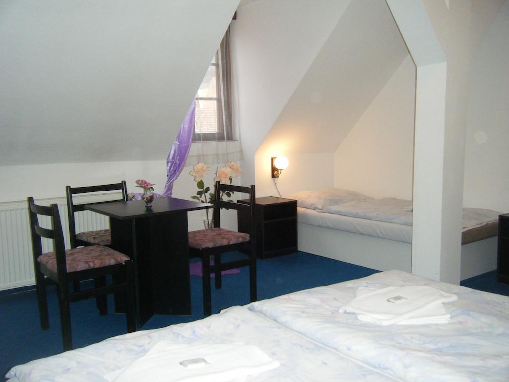 Hotel Parkan 프라차티체 객실 사진